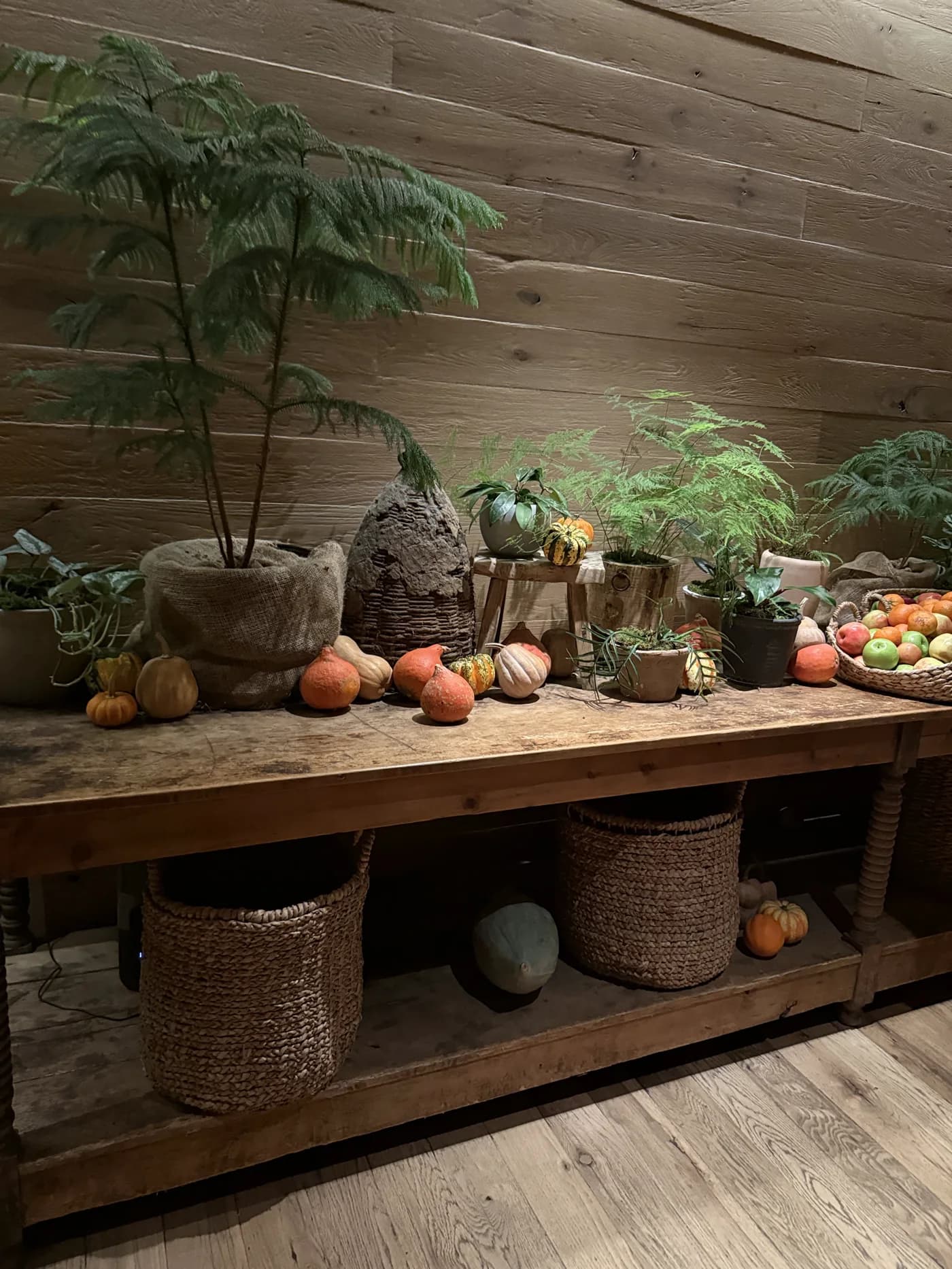 An autumn display with plants, pumpkins, and natural textures
